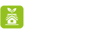 Green Roof System
