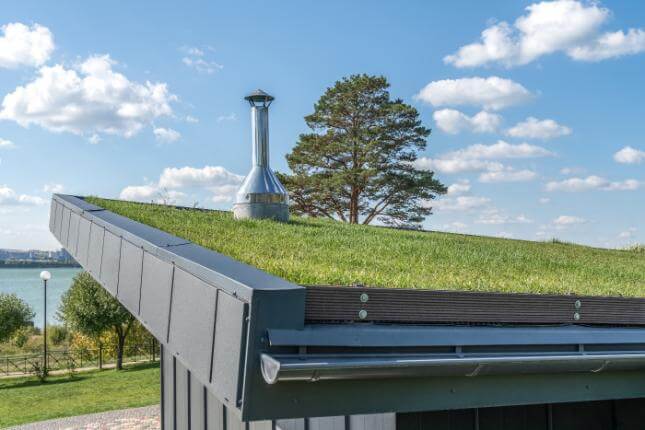 Green Roof System